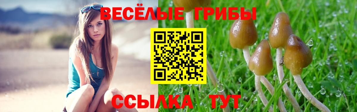 Галлюциногенные грибы прущие грибы  Вход с VPN  купить наркотики сайты  Анжеро-Судженск 